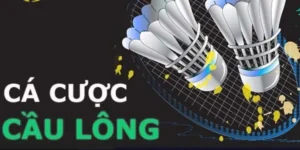 Bí Quyết Chinh Phục Cá Cược Cầu Lông EV88 Hấp Dẫn Nhất 2025