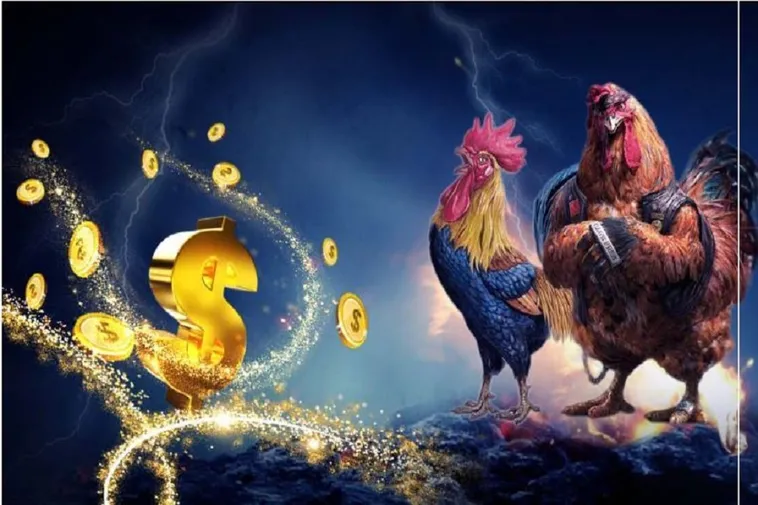 Bí Quyết Thắng Lớn Khi Chơi Đá Gà WS168 Tại EV88 2 Bí Quyết Thắng Lớn Khi Chơi Đá Gà WS168 Tại EV88