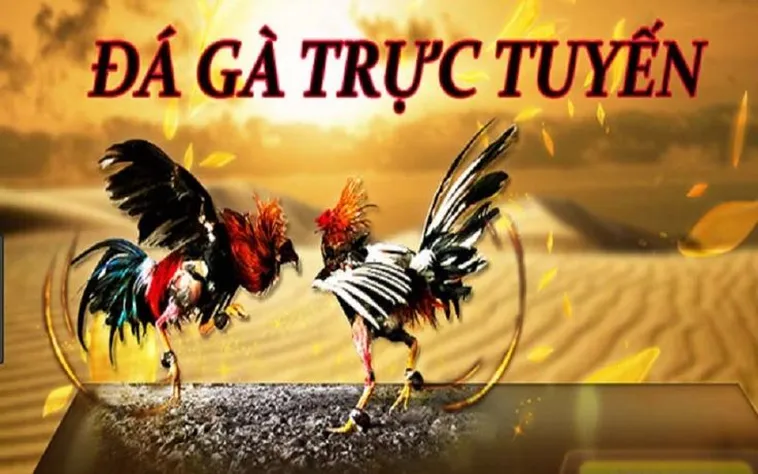 Bí Quyết Chinh Phục Đá Gà 3D EV88: Trải Nghiệm Đỉnh Cao 2025 2 Bí Quyết Chinh Phục Đá Gà 3D EV88: Trải Nghiệm Đỉnh Cao 2025